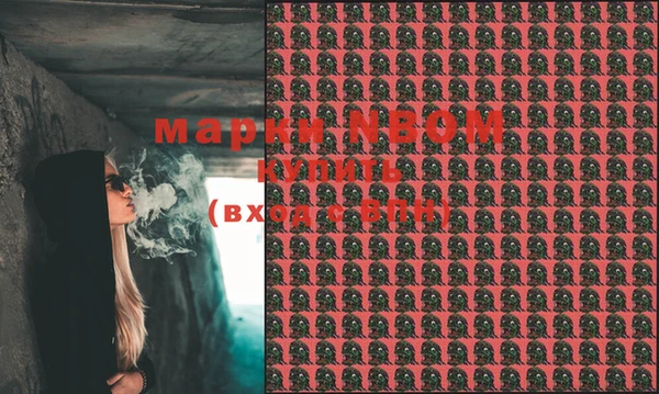 прущая мука Няндома