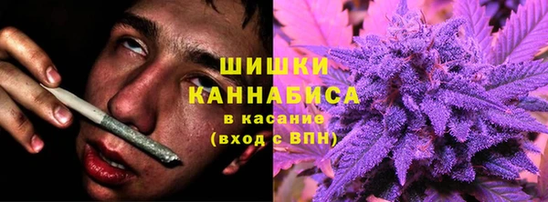 ECSTASY Нязепетровск
